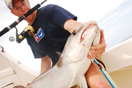 Cancun amberjack fishing- fishing trips cancun